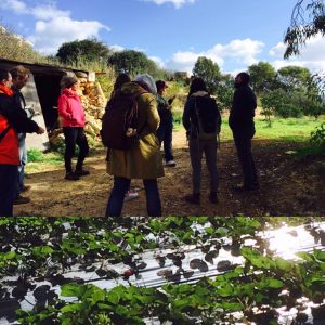 15283905_551900455001019_5439767332027929150_n