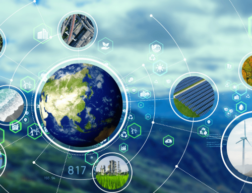 Activity 6: Sustainable Development: Mission Earth Intervention