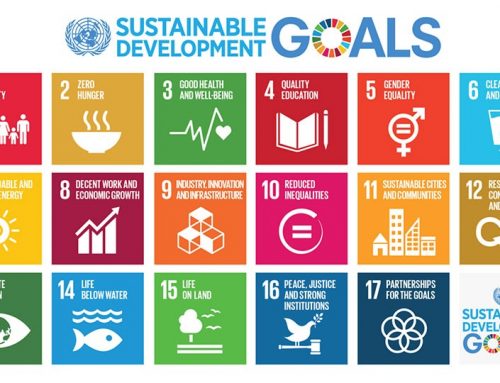 Activity 7: SDGs – Limited Resources and Taking Action